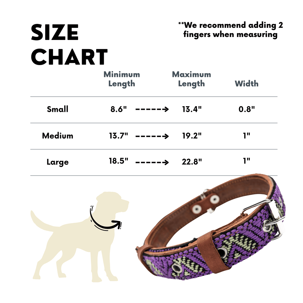 Handmade Leather Dog Collar — Aztec Embroidered | Amethyst
