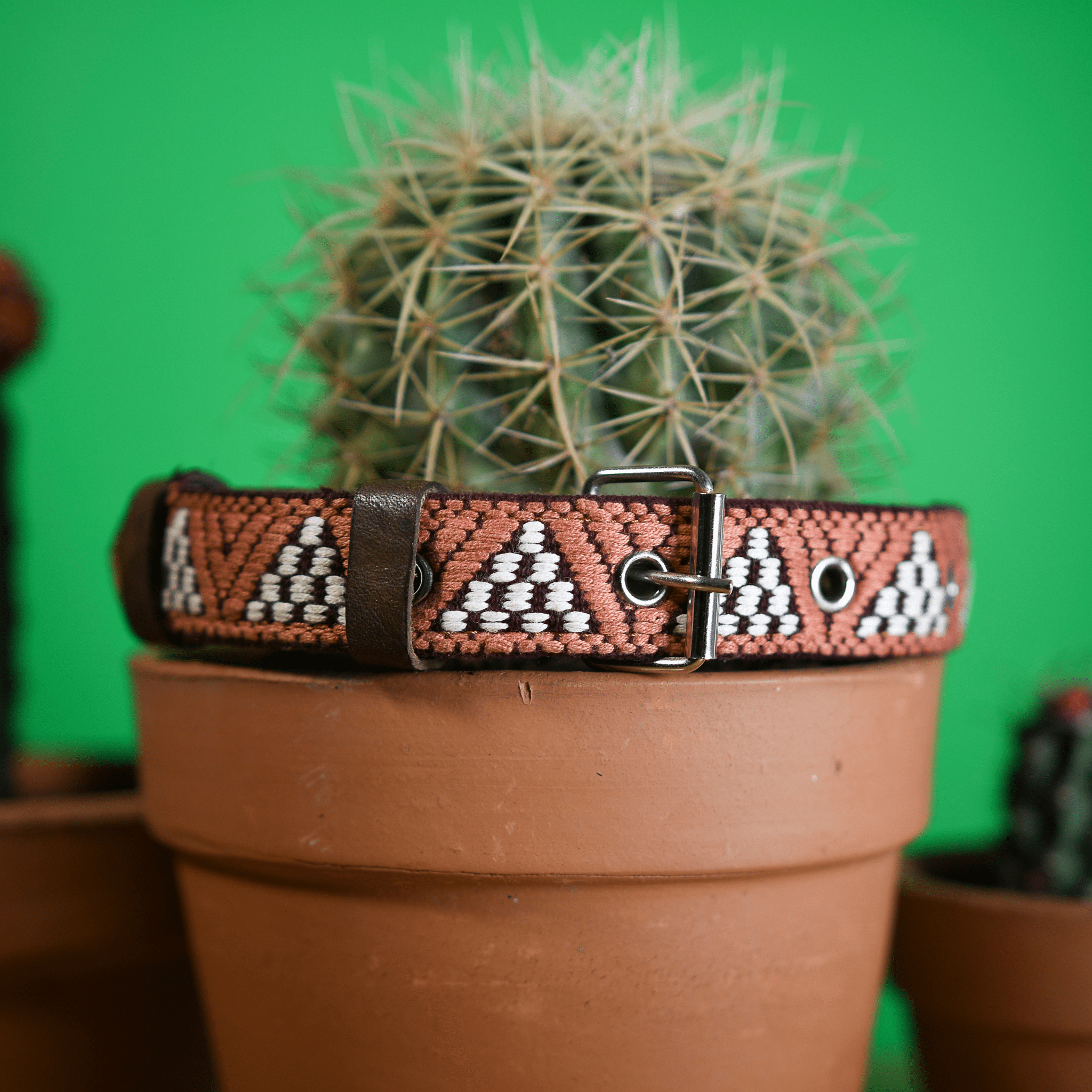 Handmade Leather Dog Collar — Aztec Embroidered | Brown Rust