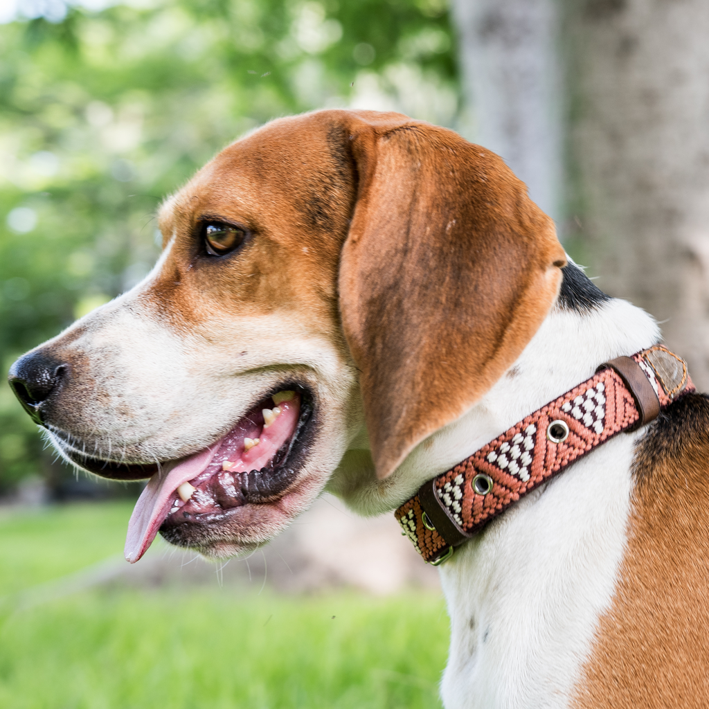 Handmade Leather Dog Collar — Aztec Embroidered | Brown Rust