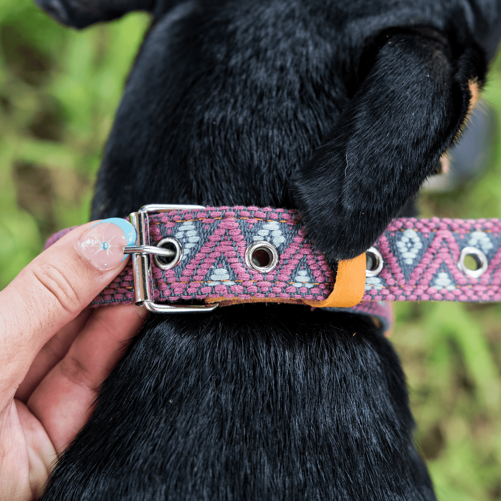 Handmade Leather Dog Collar — Aztec Embroidered | Camelot