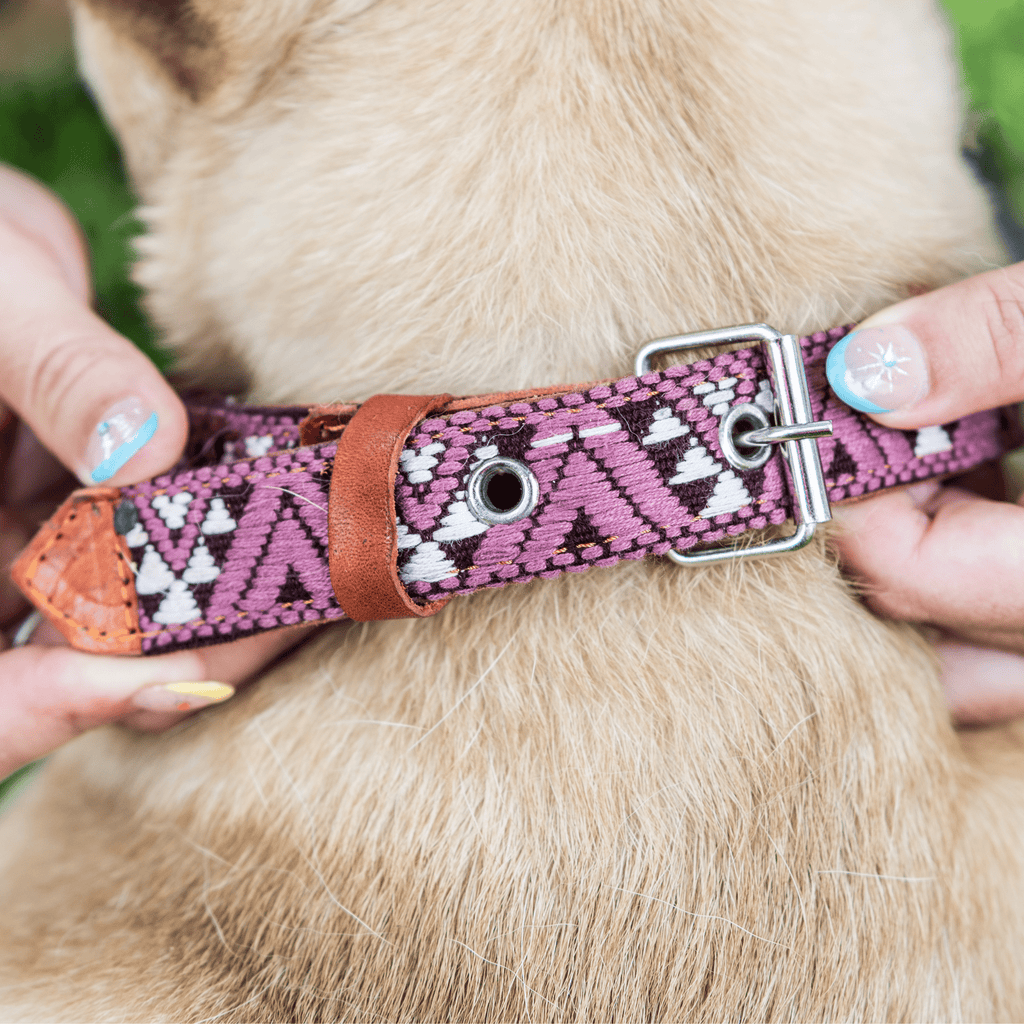 Handmade Leather Dog Collar — Aztec Embroidered | Carissma