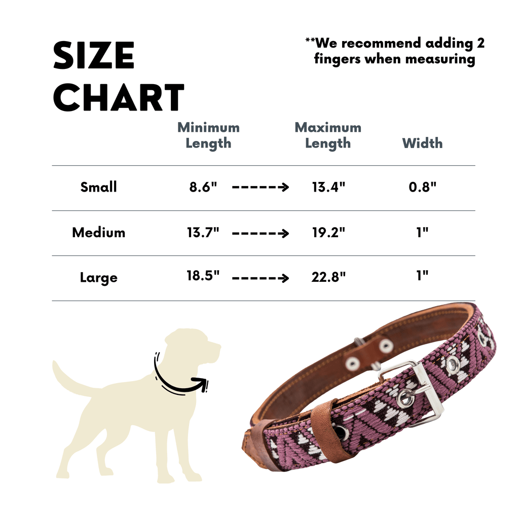 Handmade Leather Dog Collar — Aztec Embroidered | Carissma