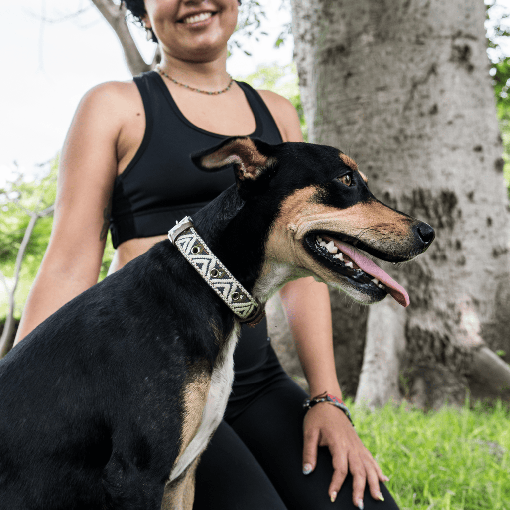 Handmade Leather Dog Collar — Aztec Embroidered | Ceramic Cello