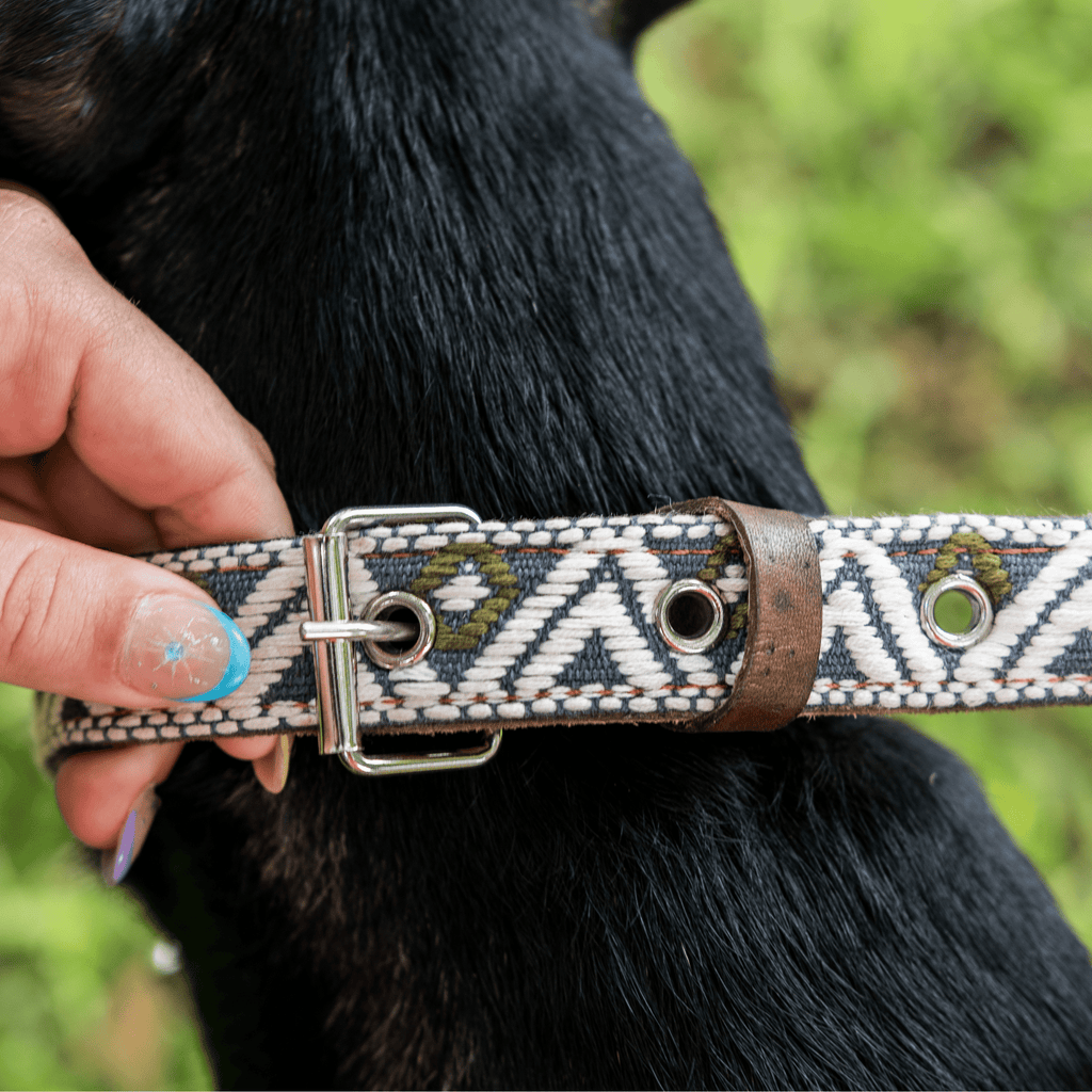 Handmade Leather Dog Collar — Aztec Embroidered | Ceramic Cello