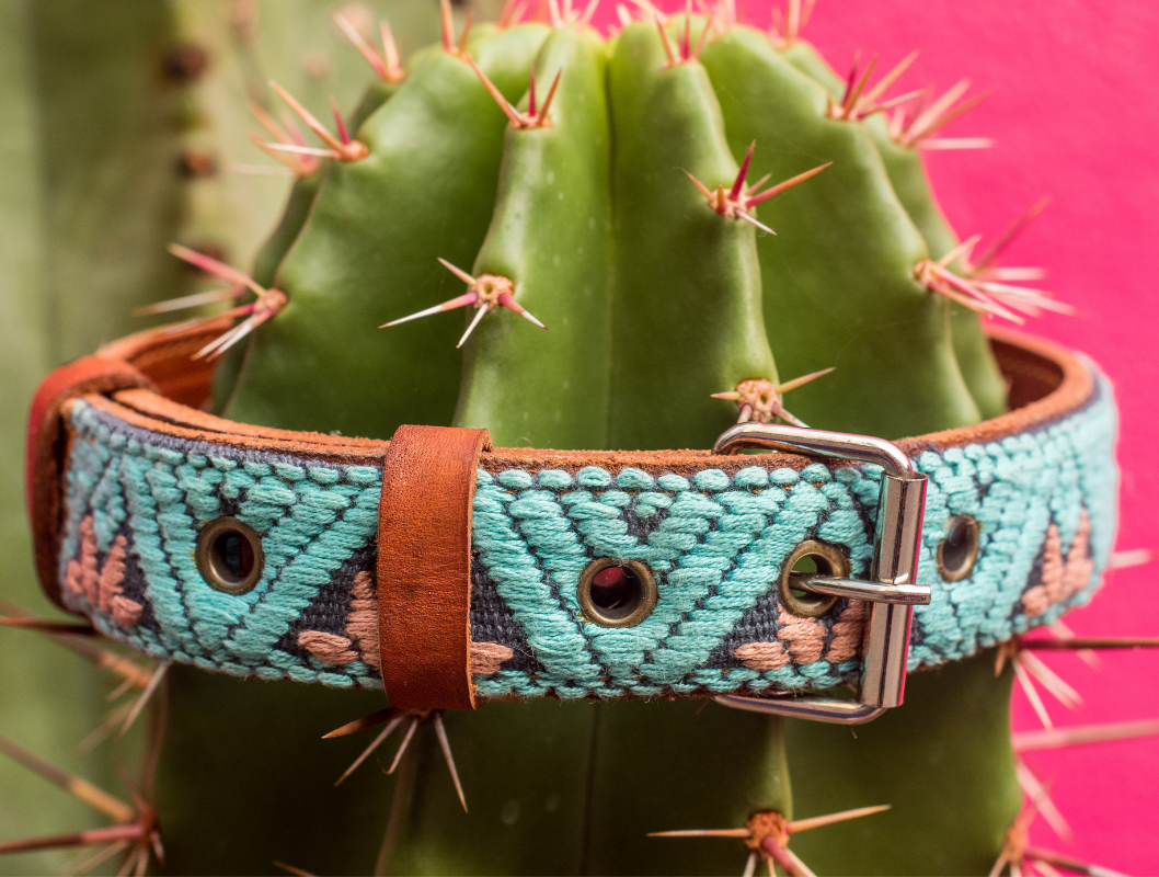 Handmade Leather Dog Collar — Aztec Embroidered | Teal