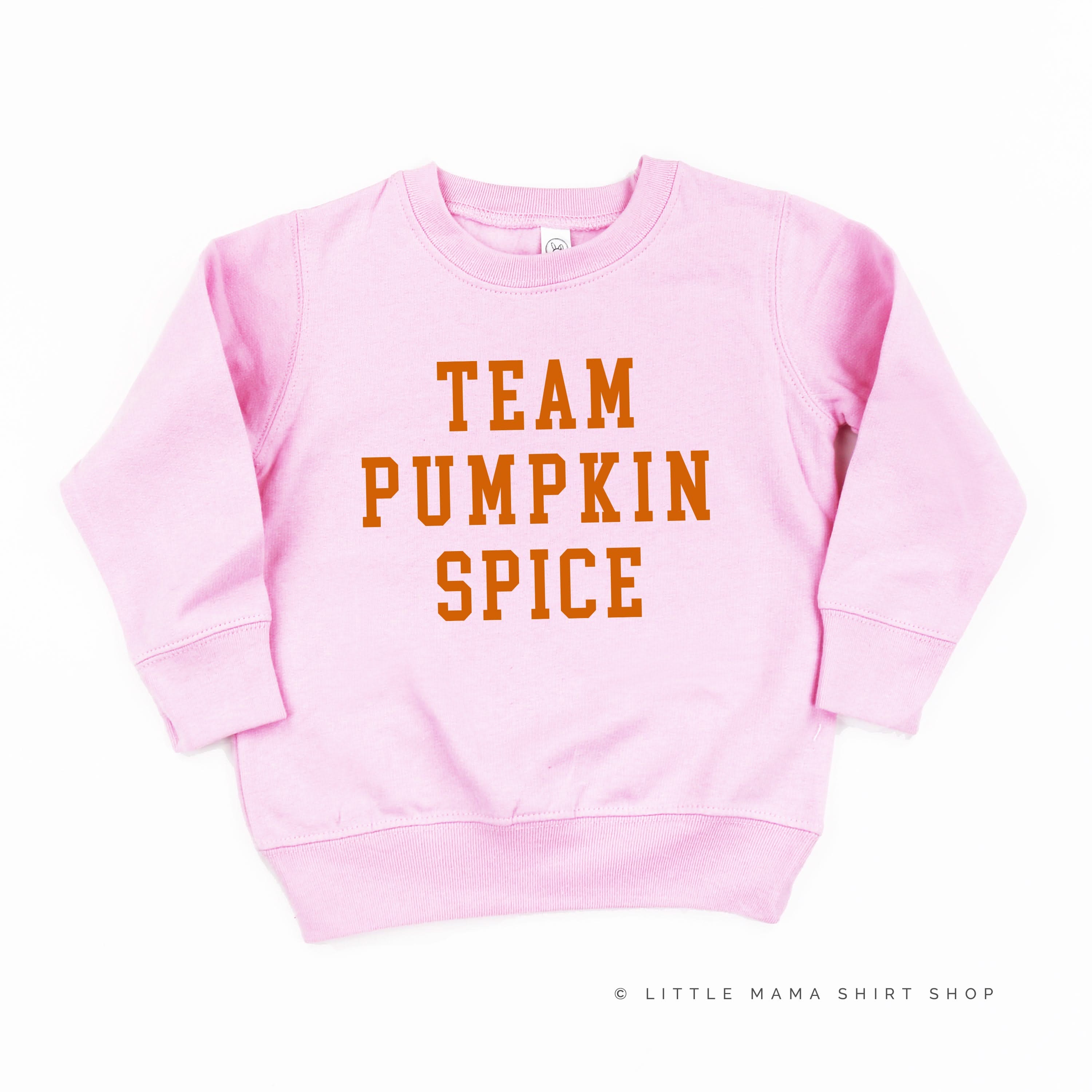 Team Pumpkin Spice - Child Sweater