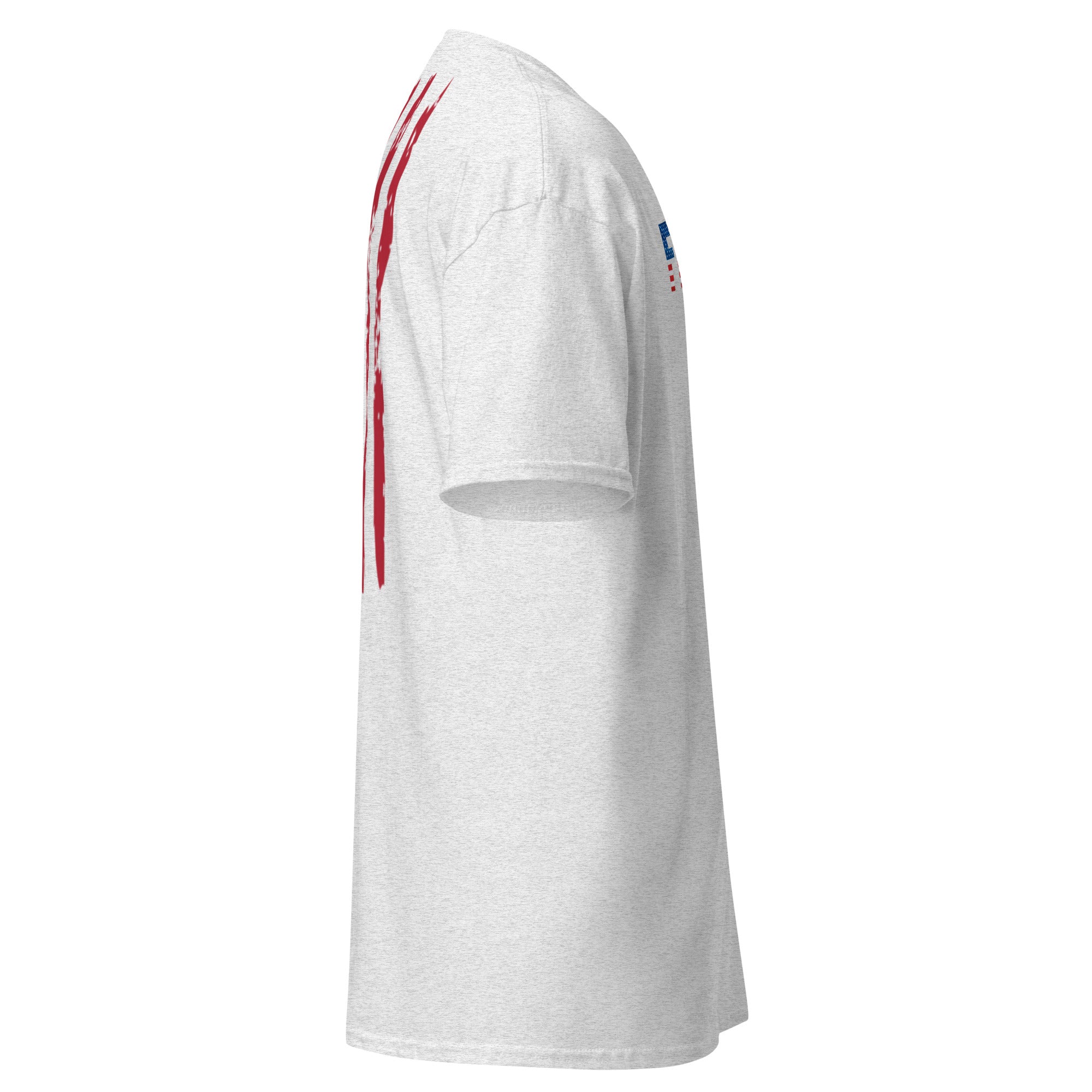 FREEDOM - With Trump dance QR code flag on the back
