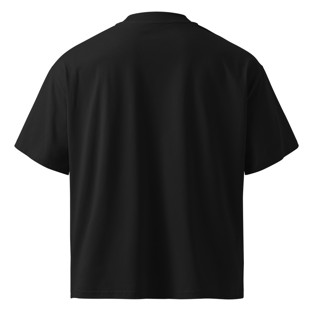 Ghost Mode: Enabled – Oversized Organic High-Neck T-Shirt