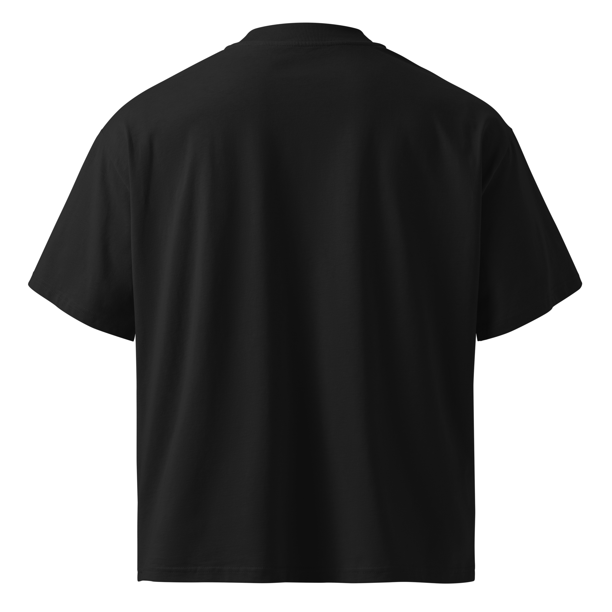 Ghost Mode: Enabled – Oversized Organic High-Neck T-Shirt