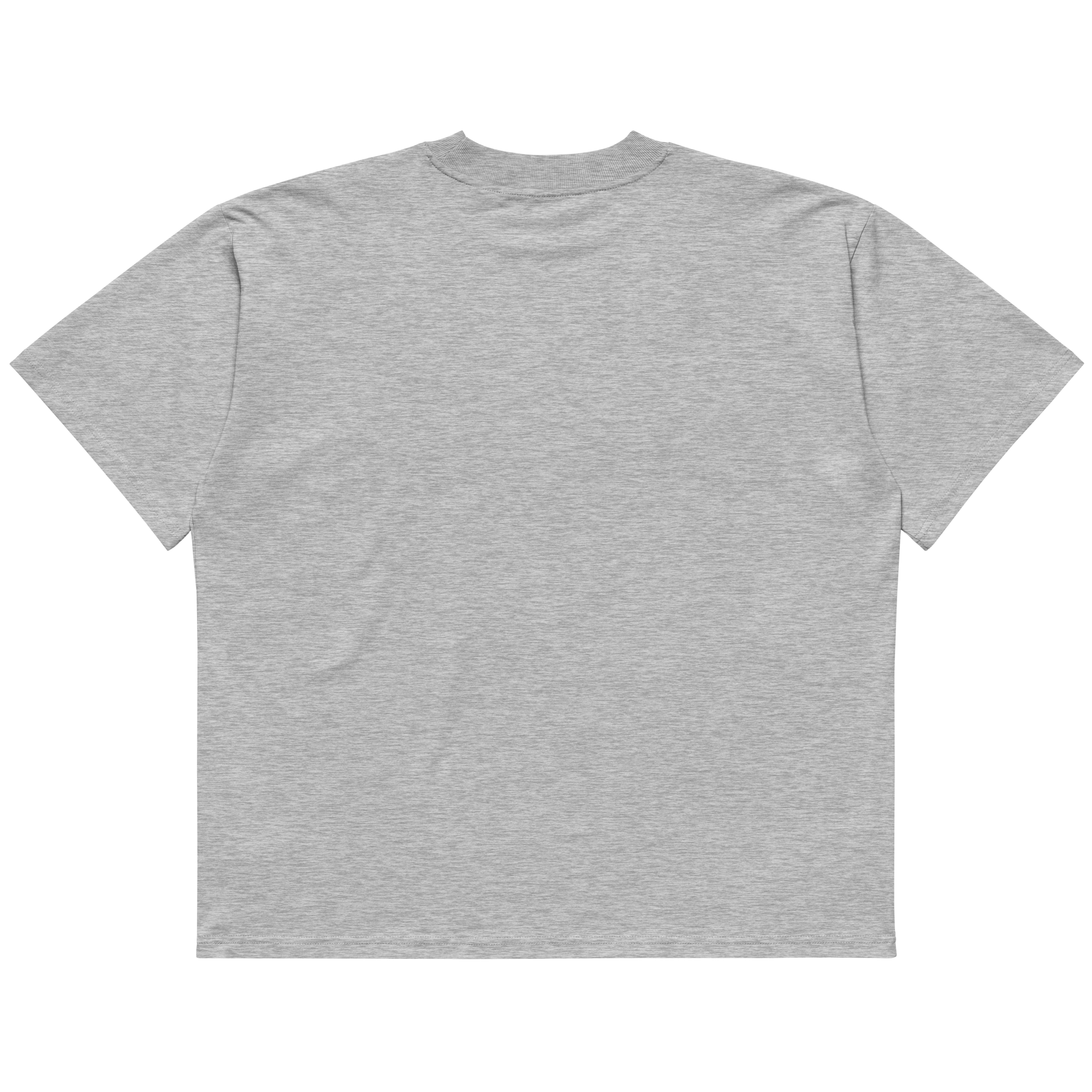 STS “Stay Hidden Stay Secure” Cybersecurity Oversized Organic High-Neck T-Shirt