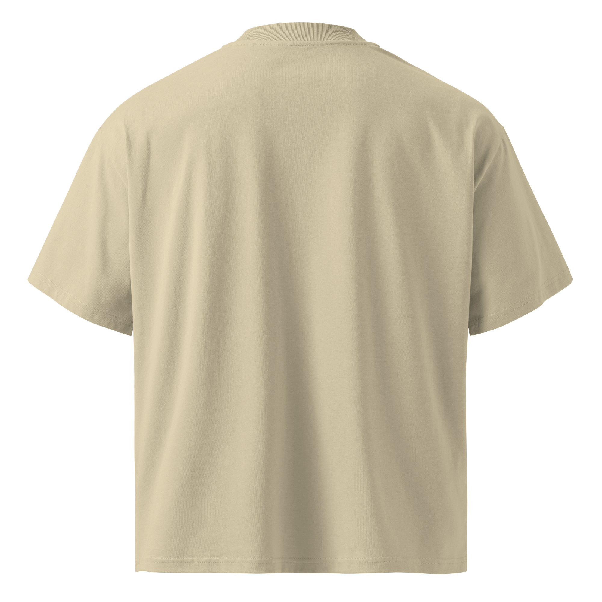 Hack The Planet – Oversized Organic High-Neck T-Shirt
