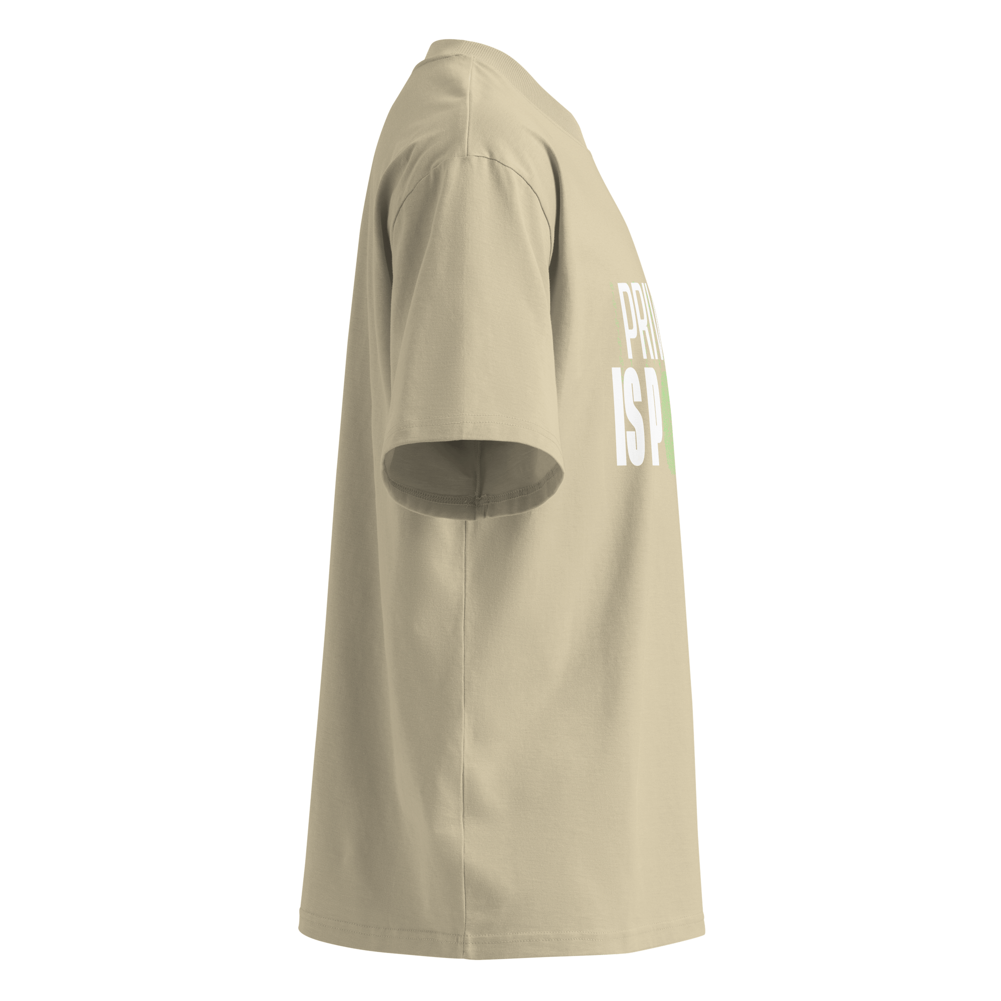 Privacy Is Power – Oversized Organic High-Neck T-Shirt
