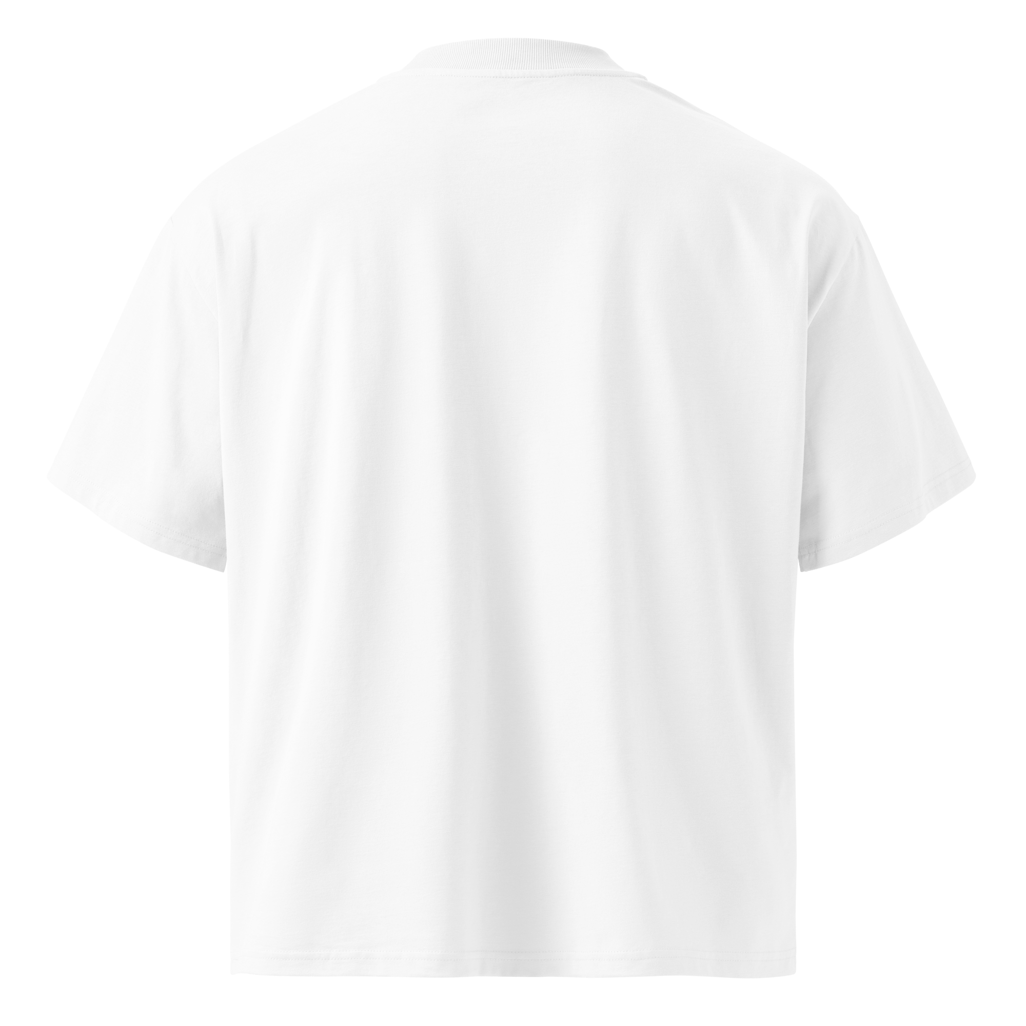 Born in Dark Mode – Oversized Organic High-Neck T-Shirt